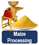 maizeprocessing