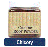 chicory