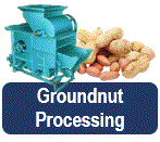 groundnutprocessing