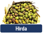 hidra